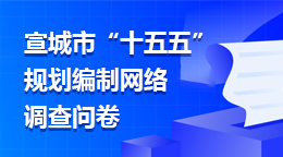 宣城市“十五五”規(guī)劃編制網(wǎng)絡調(diào)查問卷
